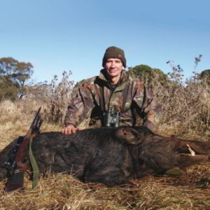Gus' boar